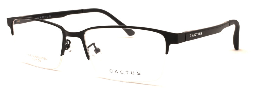 Cactus Wanderer