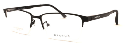 Cactus Wanderer