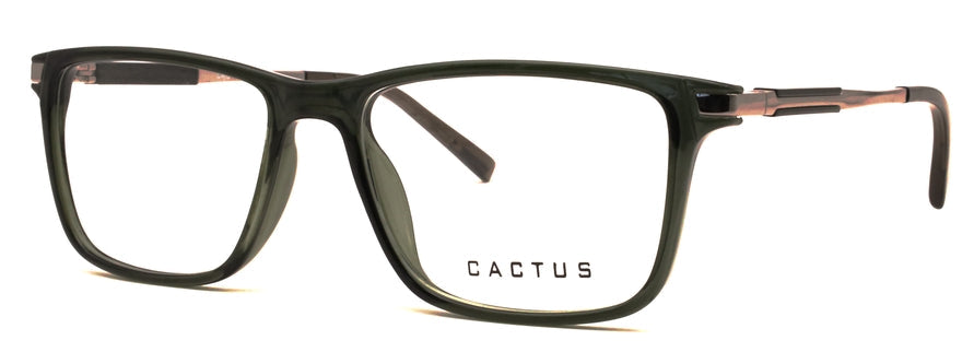 Cactus Wanderlust
