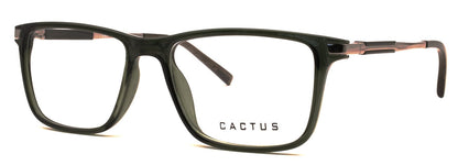 Cactus Wanderlust