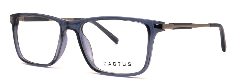 Cactus Wanderlust