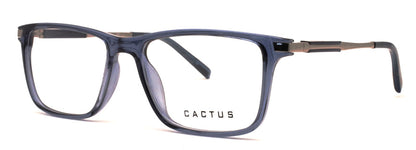 Cactus Wanderlust