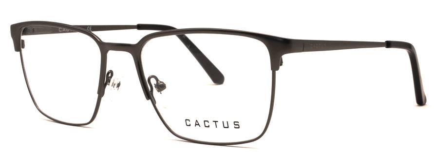 Cactus Whimsy