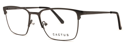 Cactus Whimsy