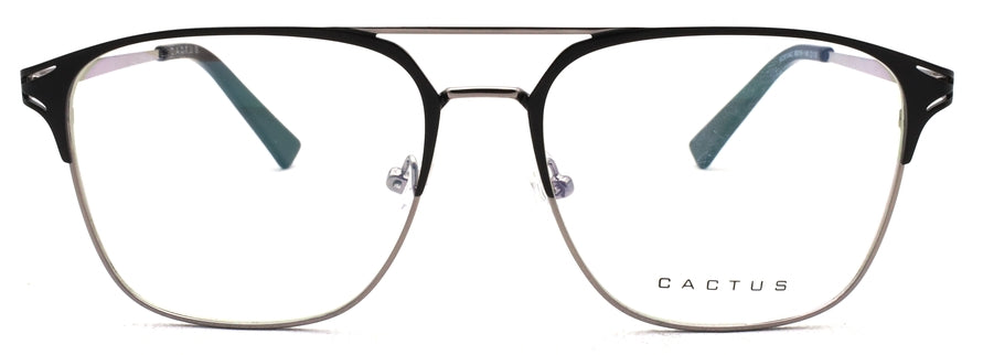 Cactus XC61042