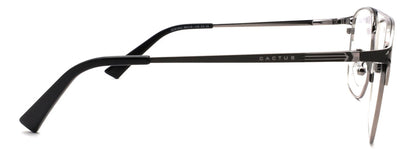 Cactus XC61042