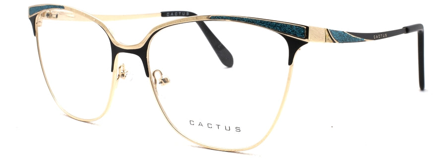 Cactus XC62080