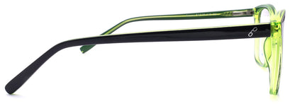 Optica Amore