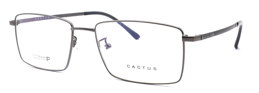 Cactus 18165