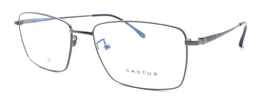 Cactus 18168