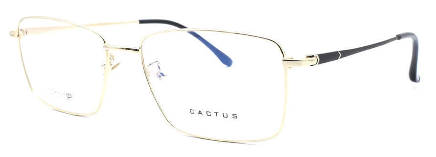 Cactus 18168