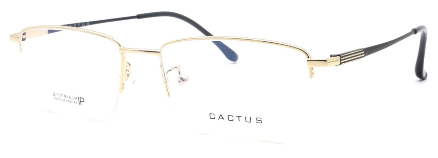 Cactus 18170