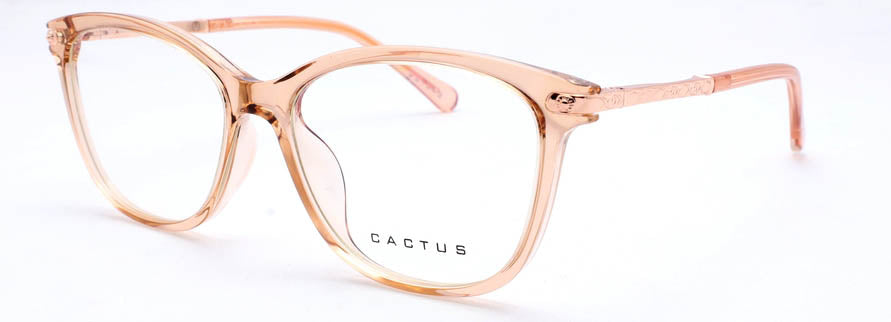 Cactus 20203