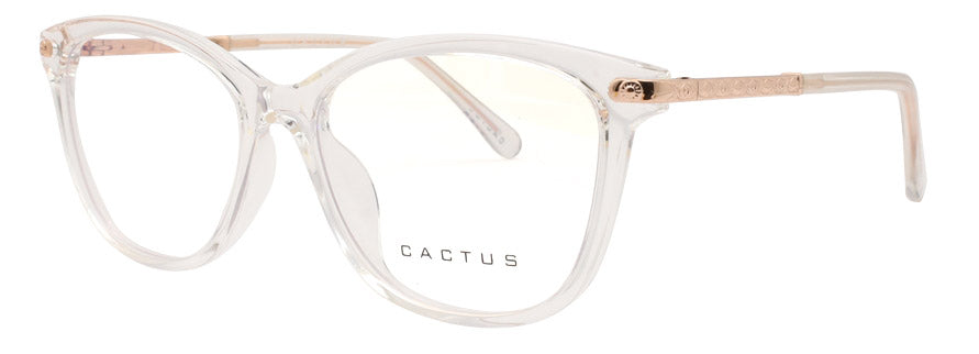 Cactus 20203