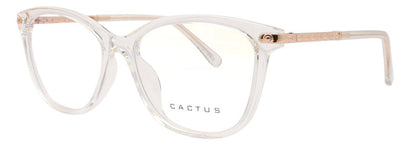 Cactus 20203