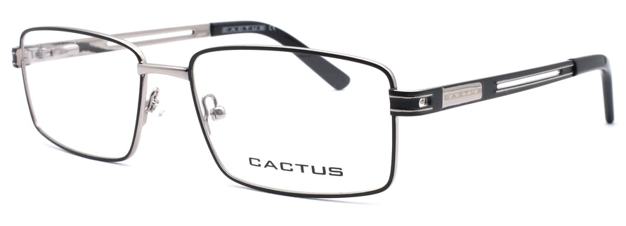 Cactus MM2010