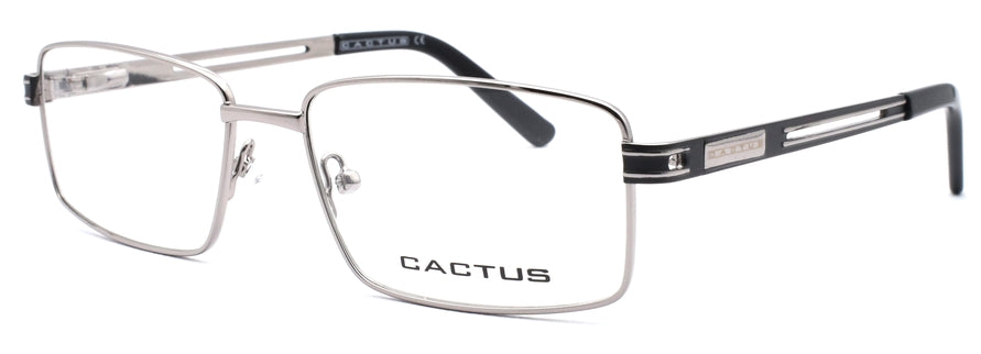Cactus MM2010