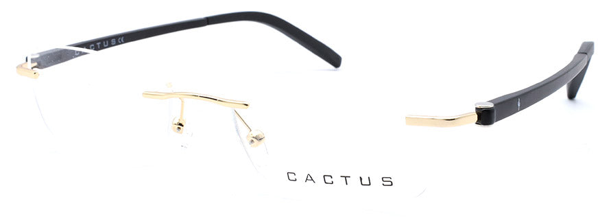 Cactus Selrls 8