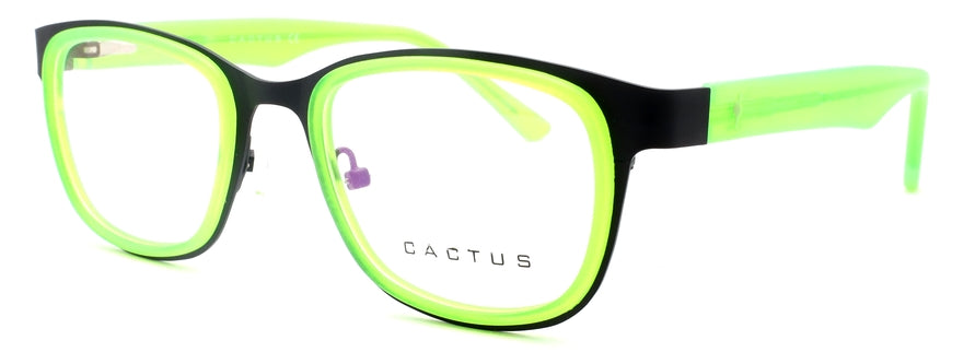 Cactus S957-1