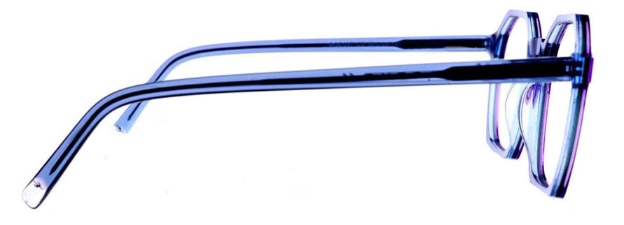 Cactus RGE037