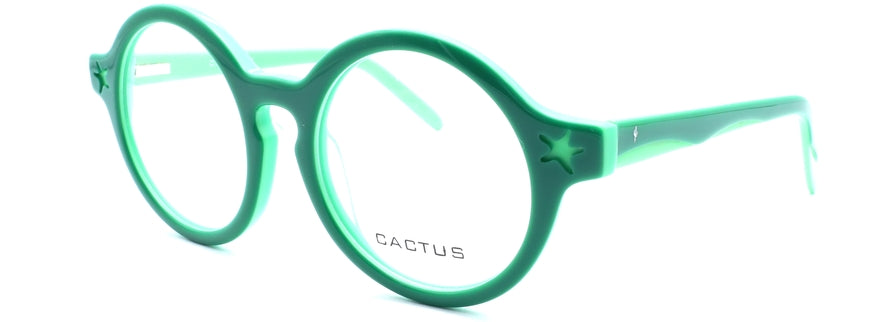 Cactus Spring