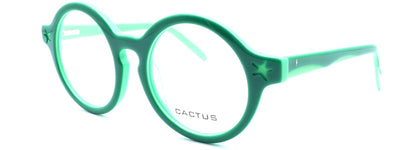 Cactus Spring