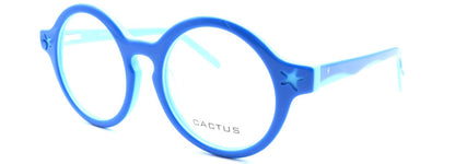Cactus Spring