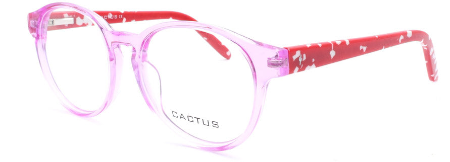 Cactus Summer