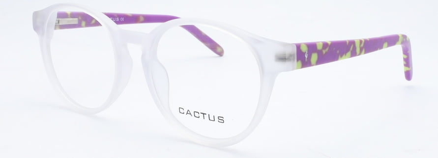 Cactus Summer
