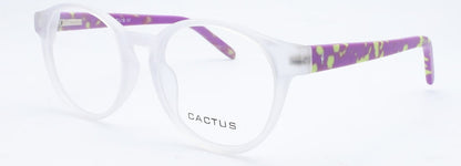 Cactus Summer