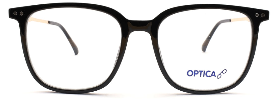 Optica 8166