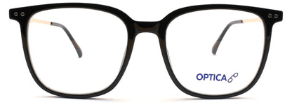 Optica 8166