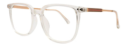 Optica 8166
