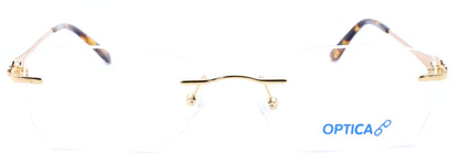 Optica ZY01021