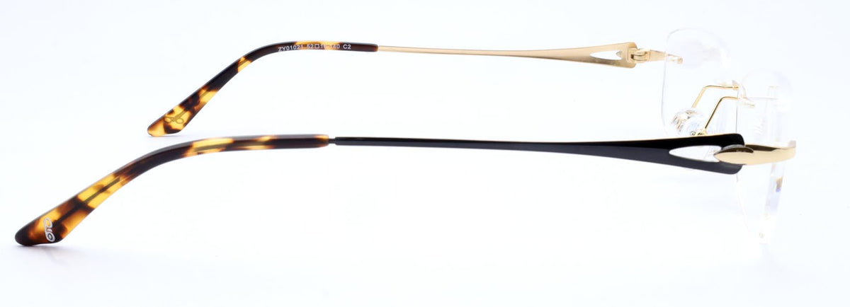 Optica ZY01021